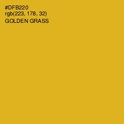#DFB220 - Golden Grass Color Image
